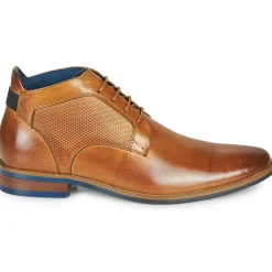 New Kdopa - BRINO Camel