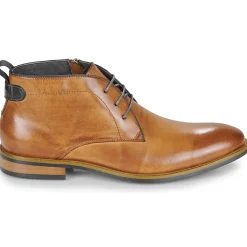 Kdopa - EAGLE Camel Best