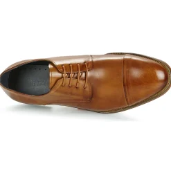 Clearance Kdopa - JULO Camel