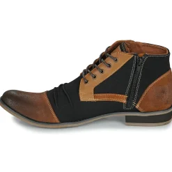 Online Kdopa - TOMMY