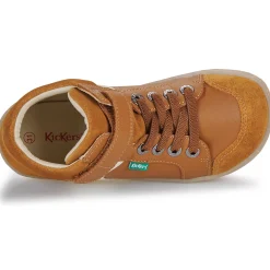 Kickers - KICKBARYL CAMEL Best