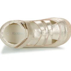 Kickers - SUSHY Doré Best