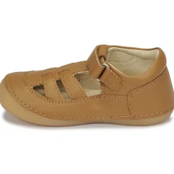 Best Kickers - SUSHY Camel