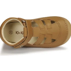 Best Kickers - SUSHY Camel