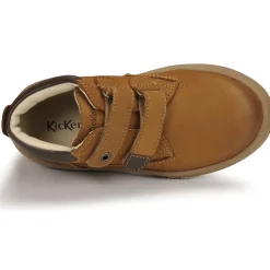 Hot Kickers - TACKEASY Camel
