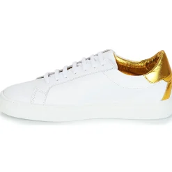 Discount KLOM - KEEP