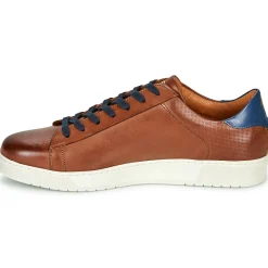 Clearance KOST - BATTLE 36 Cognac