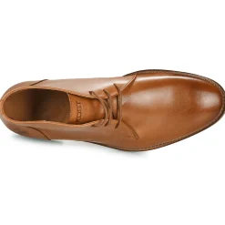 KOST - FELLOW Cognac New