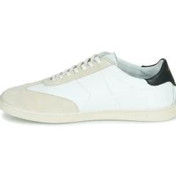 Discount KOST - Jerry Blanc