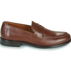 New KOST - SMART Cognac