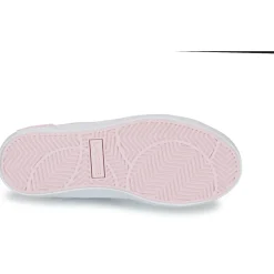 Hot Lacoste - POWERCOURT