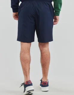 Best Lacoste - SHOSTA Marine