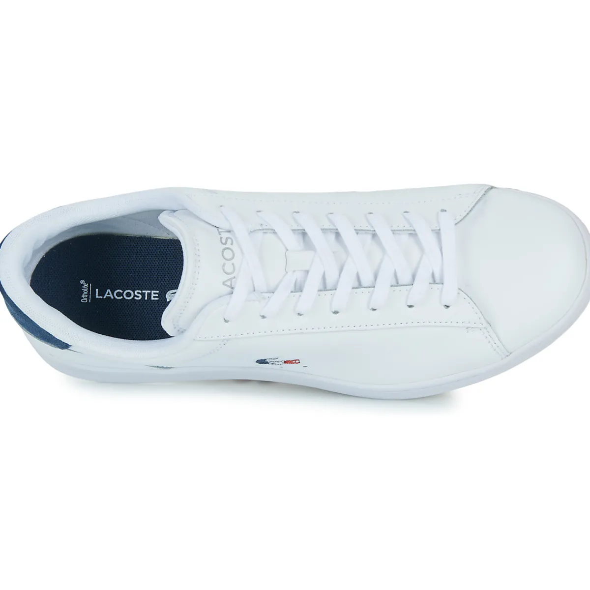 Lacoste - 48SMA0111407