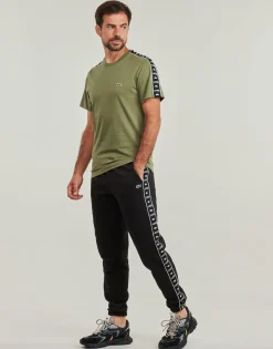 Lacoste - TH7404 Kaki New