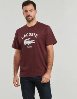 New Lacoste - TH2733 Bordeaux