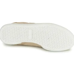 Le Temps des Cerises - FLASH