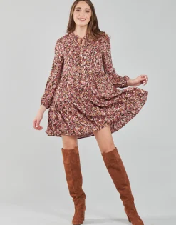 Le Temps des Cerises - SUN Rose Sale