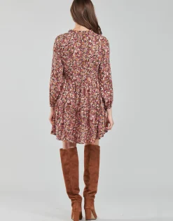 Le Temps des Cerises - SUN Rose Sale