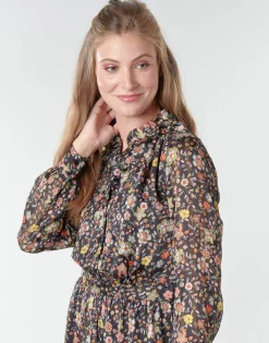 Les Petites Bombes - ALBA