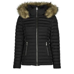 Les Petites Bombes - ALIMA