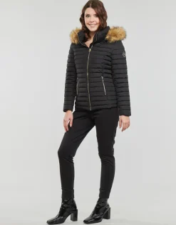 Les Petites Bombes - ALIMA