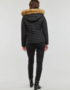 Les Petites Bombes - ALIMA