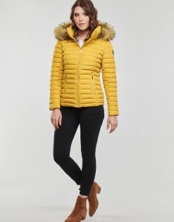 Les Petites Bombes - ALIMA Jaunemoutarde Hot