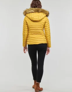 Les Petites Bombes - ALIMA Jaunemoutarde Hot