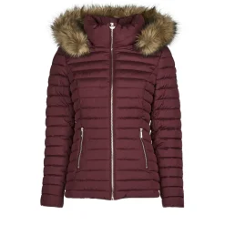 Les Petites Bombes - ALIMA Bordeaux Hot