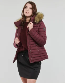 Les Petites Bombes - ALIMA Bordeaux Hot