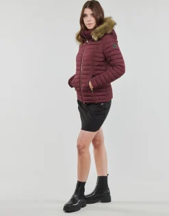 Les Petites Bombes - ALIMA Bordeaux Hot