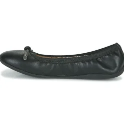 Les Petites Bombes - AVA Noir