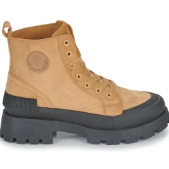 Les Petites Bombes - ENYA Camel