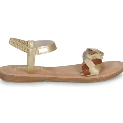 Les Petites Bombes - FINA