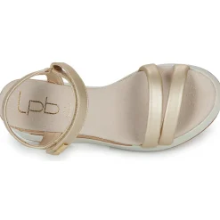 Les Petites Bombes - FIONA