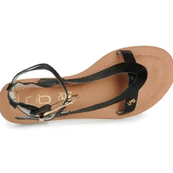 Les Petites Bombes - FIRMA