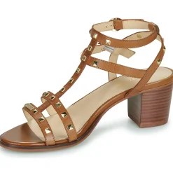 Les Tropéziennes par M Belarbi - LINALIE Cognac Online