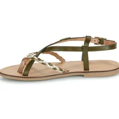 Sale Les Tropéziennes par M Belarbi - CHOU KakiDoré