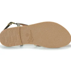 Sale Les Tropéziennes par M Belarbi - CHOU KakiDoré