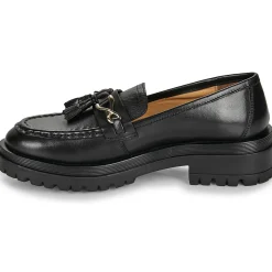 Hot Les Tropéziennes par M Belarbi - VIVALDI Noir