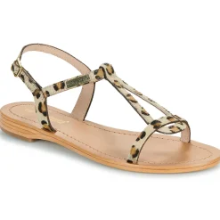 Les Tropéziennes par M Belarbi - HAMAT Léopard Online