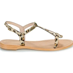 Les Tropéziennes par M Belarbi - HAMAT Léopard Online