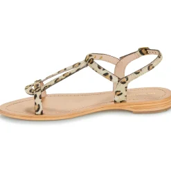 Les Tropéziennes par M Belarbi - HAMAT Léopard Online