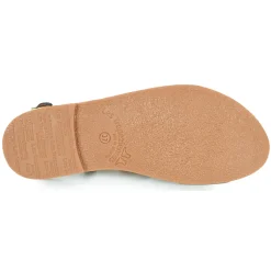 Les Tropéziennes par M Belarbi - CHOU New