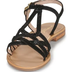 Les Tropéziennes par M Belarbi - HASTRO Noir Sale