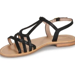 Les Tropéziennes par M Belarbi - HASTRO Noir Sale