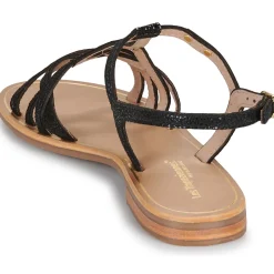 Les Tropéziennes par M Belarbi - HASTRO Noir Sale