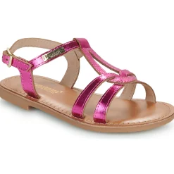 Les Tropéziennes par M Belarbi - BACKLE Rose Outlet