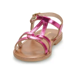 Les Tropéziennes par M Belarbi - BACKLE Rose Outlet