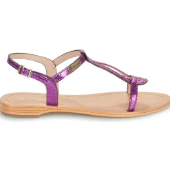 Les Tropéziennes par M Belarbi - HAMAT Violet